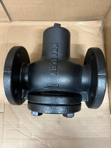 2" KECKLEY STYLE GFV CLASS 125 FF FLANGED CAST IRON BODY BASKET STRAINERS
