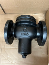 Load image into Gallery viewer, 2&quot; KECKLEY STYLE GFV CLASS 125 FF FLANGED CAST IRON BODY BASKET STRAINERS