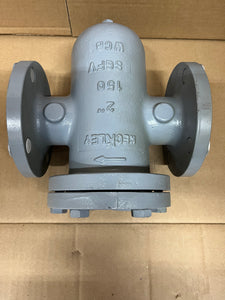 2" KECKLEY STYLE SGFV CLASS 150 RF FLANGED CAST CARBON STEEL BASKET STRAINER