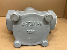 Load image into Gallery viewer, 2&quot; KECKLEY STYLE SD CLASS 300 NPT CAST CARBON STEEL BODY BASKET STRAINER