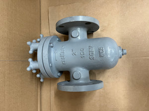 2" KECKLEY STYLE SGFVK CLASS 150 RF FLANGED CAST CARBON STEEL BASKET STRAINER WITH KNOBS