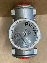 Load image into Gallery viewer, PENNANT 3/4&quot; PT11H STEAM TRAP